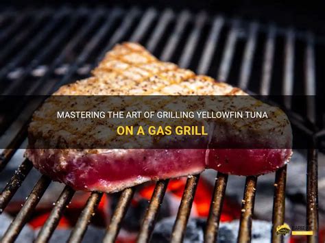 how to cook ahi tuna on grill on gas grill
